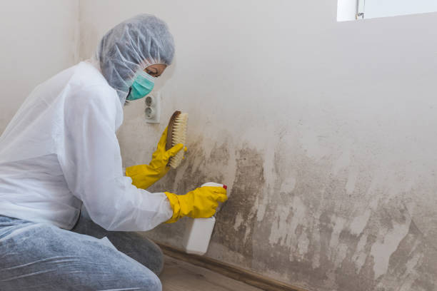 Best Crawl Space Mold Removal  in Tullahoma, TN