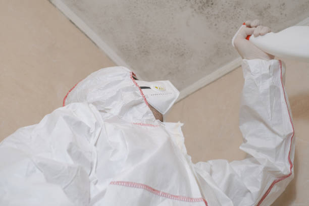 Mold Testing and Removal in Tullahoma, TN